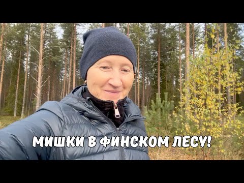 Видео: Всегда что то новенькое! В Финляндии готовятся к Рождеству (Влог #204)