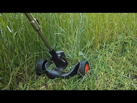 Видео: на що здатний акумуляторний тример-газонокосарка від Leader