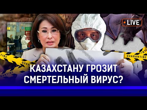 Видео: Насколько опасен вирус Марбурга? Как определить симптомы вируса?
