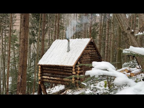 Видео: Строительство Сруба для Выживания в Лесу, Жизнь Вне Сети