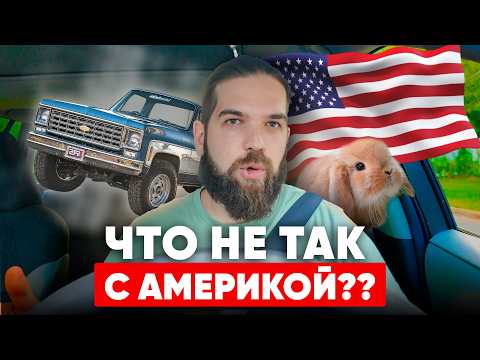 Видео: Почти год в США: что меня шокировало в Америке больше всего в 2025 году