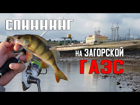 Видео: За окунем на ГАЭС! / Спиннинг в Подмосковье