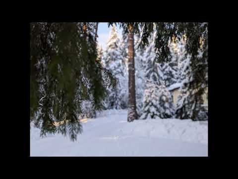 Видео: Звонит мошенник Иван Белов [автор: Лев]