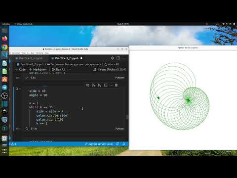 Видео: 3.4 Python тілінен практикалық сабақ. turtle модулы мен while опреаторын қолдану