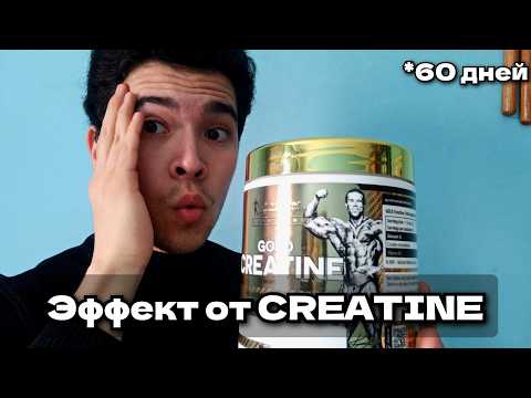 Видео: 60 Дней Принимал CREATINE и Вот Мои Результаты