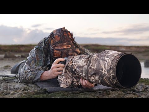 Видео: Я что, с ума сошёл? Фотографировать куликов — занятие не из приятных.