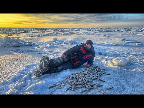 Видео: ЭТО МАКСИМАЛЬНЫЙ КАЙФ! Душевная рыбалка на Финском заливе  | Зимняя ловля корюшки | КОРЮШКА 2024