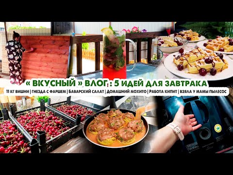 Видео: ВЛОГ❤️Идеи быстрых завтраков🥪Вкусный обед и ужин😋Работа кипит🐕Заморозка вишни🍒Тестирую пылесос😲