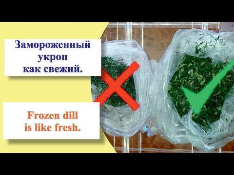 Видео: Рассыпчатый замороженный укроп, как свежий. Crumbly frozen dill, like fresh.