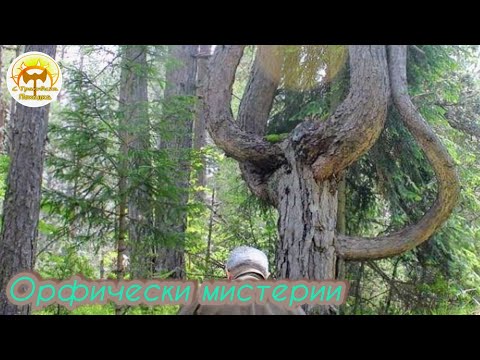 Видео: Орфически мистерии - фестивал на село Триград - 4K video