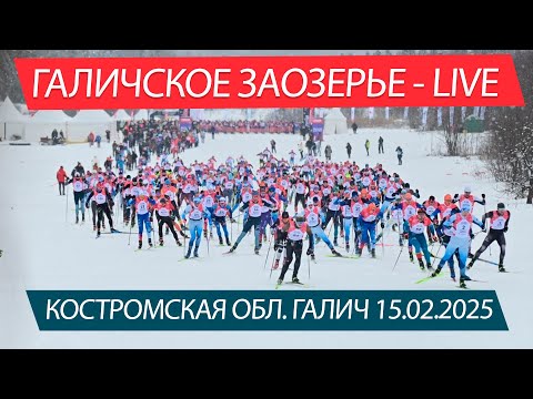 Видео: Галичское Заозерье - LIVE 15.02.2025