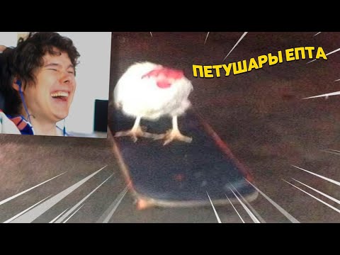 Видео: 9 МИНУТ СМЕХА | ЛУЧШИЕ ПРИКОЛЫ МАЙ 2021 ПОПРОБУЙ ЗАСМЕЯТЬСЯ ЧЕЛЛЕНДЖ ЗАСМЕЯЛСЯ ПРОИГРАЛ