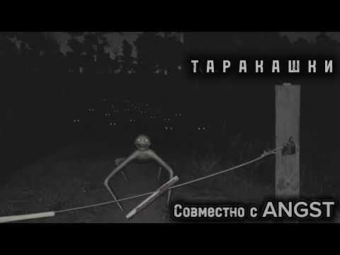 Видео: ТАРАКАШКИ! Страшные истории на ночь. (Совместно с ANGST).