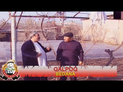 Видео: Qalpoq - Bedana | Калпок - Бедана (hajviy ko'rsatuv)