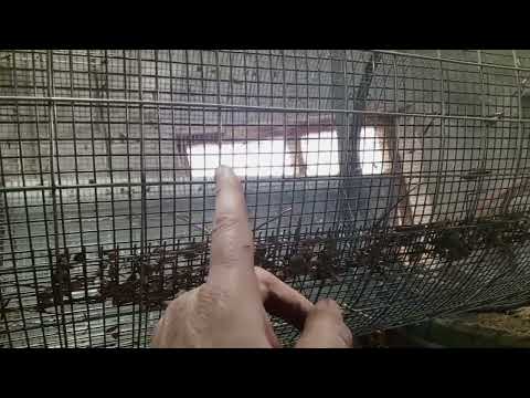 Видео: самодельное барабанное сито