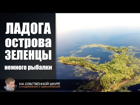 Видео: ⭐️ Ладога, острова Зеленцы 🎣 С высоты птичьего полета 🦆