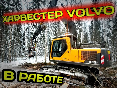 Видео: Харвестер VOLVO в РАБОТЕ