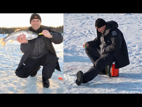 Видео: Ловля форели на платнике со льда. На что форель лучше клюёт сегодня.