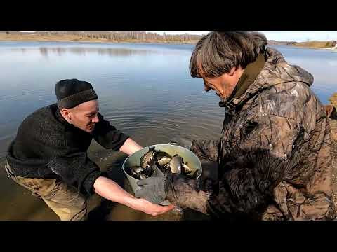 Видео: Очередное Зарыбление Пруда "3-й Алчедат"! г.Анжеро-Судженск 25.04.25 г! #РакиFISHINGPRO #рыбалка