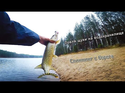 Видео: Ловля щуки на водохранилище. Спиннинг с берега. Эстония. Soodla. Kalapüük Eestis.