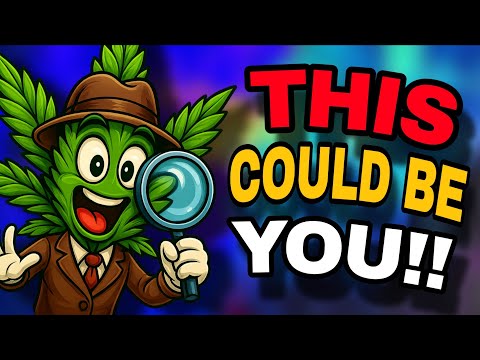 Видео: Открываем новый популярный сорт каннабиса (это не так уж и сложно)