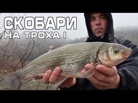 Видео: Струмски скобари на троха - част 1
