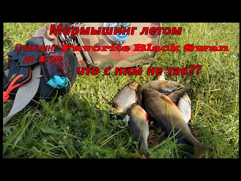 Видео: Мормышинг летом. Спиннинг Favorite Black Swan до 1 грм