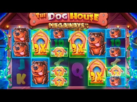 Видео: ФИФИЧ КУПИЛ БОНУС ALL IN В THE DOG HOUSE MEGAWAYS !!!