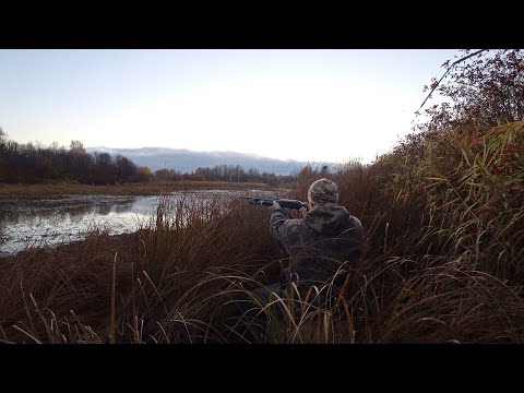 Видео: Отличная охота на вечерке. Охота на утку. Знакомство с тепловизором HIKMICRO.