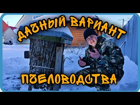 Видео: С ЧЕГО Я НАЧИНАЛ ПЧЕЛОВОДСТВО?! ПРОСТОЙ СПОСОБ. КОЛОДНОЕ ПЧЕЛОВОДСТВО
