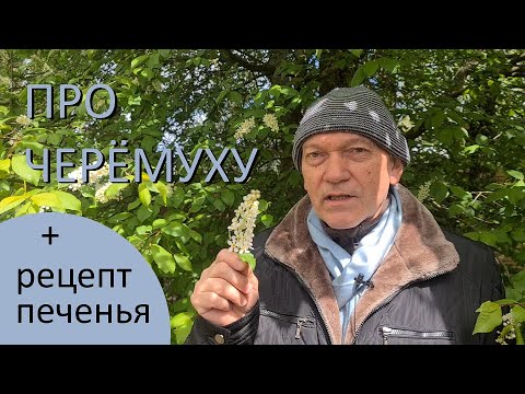 Видео: ОПАСНА ЛИ ЧЕРЁМУХА?