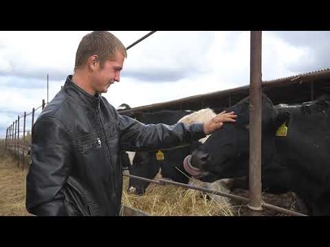 Видео: Агростартап помогает развивать бизнес на селе