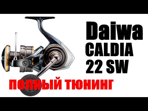 Видео: Daiwa Caldia 22 SW - ПОЛНЫЙ ТЮНИНГ