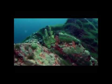 Видео: К глубинам Байкала