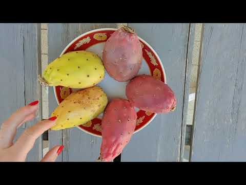 Видео: #73. Опунция. Как почистить фрукт кактуса. #ZivileZ #лазурныйберег