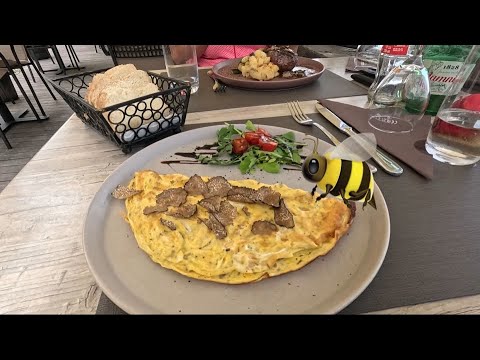 Видео: 7. Хорватия.Заключительная часть: Мотовун - город эксклюзивных трюфелей. Мечты сбываются)!🍄‍🟫#video