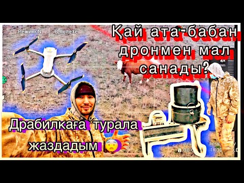 Видео: Влог #1 | Дронмен малдарды санадым. Дробилкамен жем тарттым.