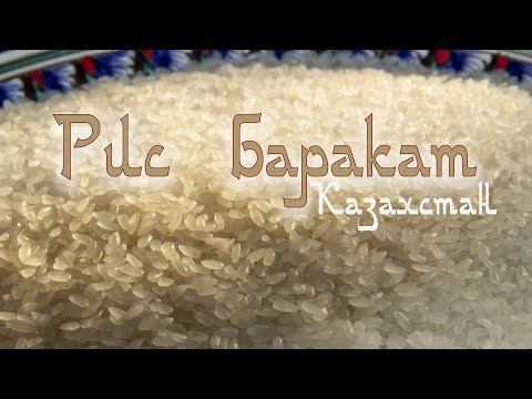 Видео: Рис Баракат. Плов. Достык.