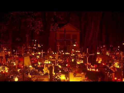 Видео: мексиканець - zwyntar (slowed + reverb) #watchua