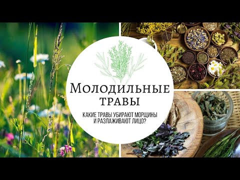 Видео: Омолаживающие травы для лица.