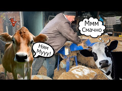 Видео: Огляд Подрібнювача стебел ДТЗ ПСУ- 2.6. Ранкова годівля корів МОНОКОРМ.#ІванКо,#IvanKo,#Ivan&Kompany