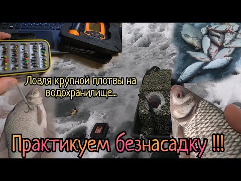 Видео: Леска трещит!Вот это поклёвки.Безмотылка на водохранилище.