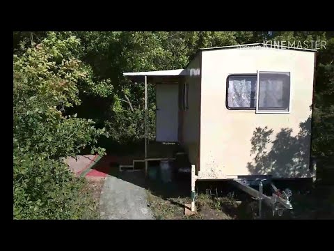 Видео: Дом пчеловода. Первый мед 25 мая 2019 г.