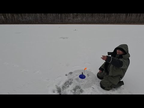 Видео: Сезон по жерличкам открыт.Зимняя рыбалка 2024-2025 года начало.