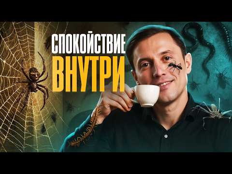 Видео: Как успокаивать нервную систему без таблеток за 2 минуты