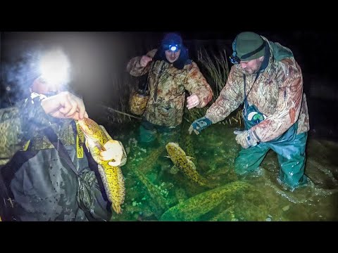 Видео: В ЭТОЙ ЗАВОДИ РЫБА ПРОСТО КИШИТ ПОД НОГАМИ | ДИКИЙ ЖОР НАЛИМА | ОСЕННЯЯ ЛОВЛЯ НАЛИМА НА ДОНКИ