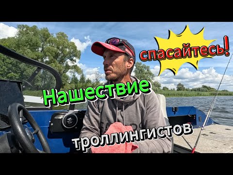 Видео: Троллингисты наступают по всем фронтам.