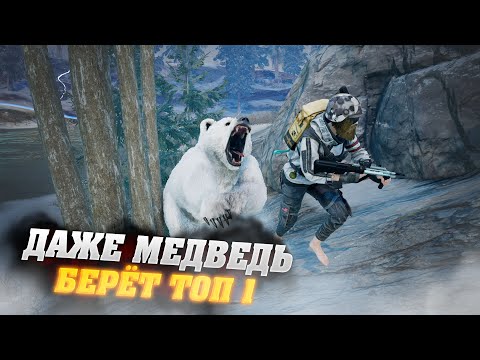 Видео: ДАЖЕ МЕДВЕДЬ БЕРЕТ ТОПЫ