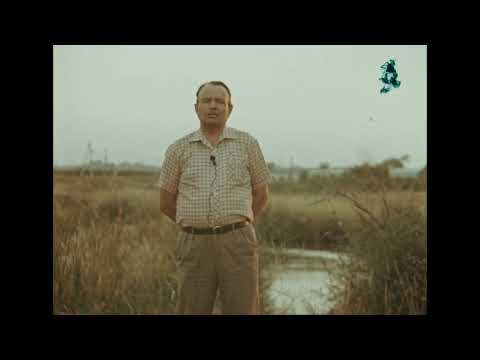 Видео: Документальный фильм «Живи, моя Ивановка» (1/3)