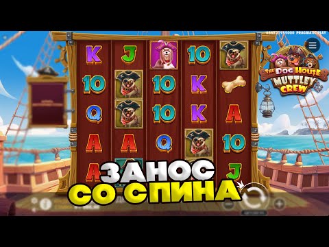 Видео: ЗАНОС СО СПИНА В НОВЫХ СОБАКАХ The Dog House – Muttley Crew / ТОПОВАЯ ВЫДАЧА СО СПИНОВ В СОБАКАХ?